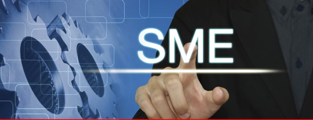 Strengthening SMEs for growth – Pakistan & Gulf Economist