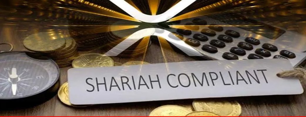 Fully shariah-compliant system takes shape