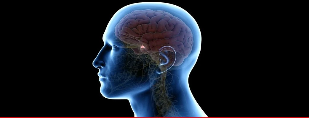 Wireless Messaging System of The Human Body